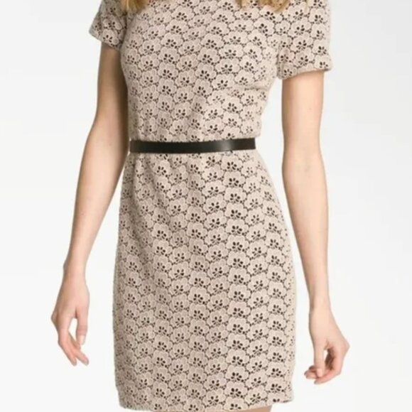 Diane von Furstenberg Cindy Acorn Lace Dress in Black, SZ 12 - Picture 6 of 7